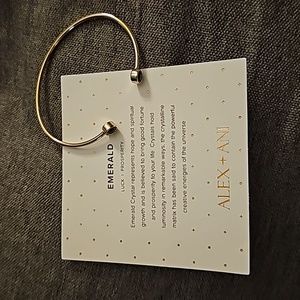 Alex and Ani Cuff Bracelet